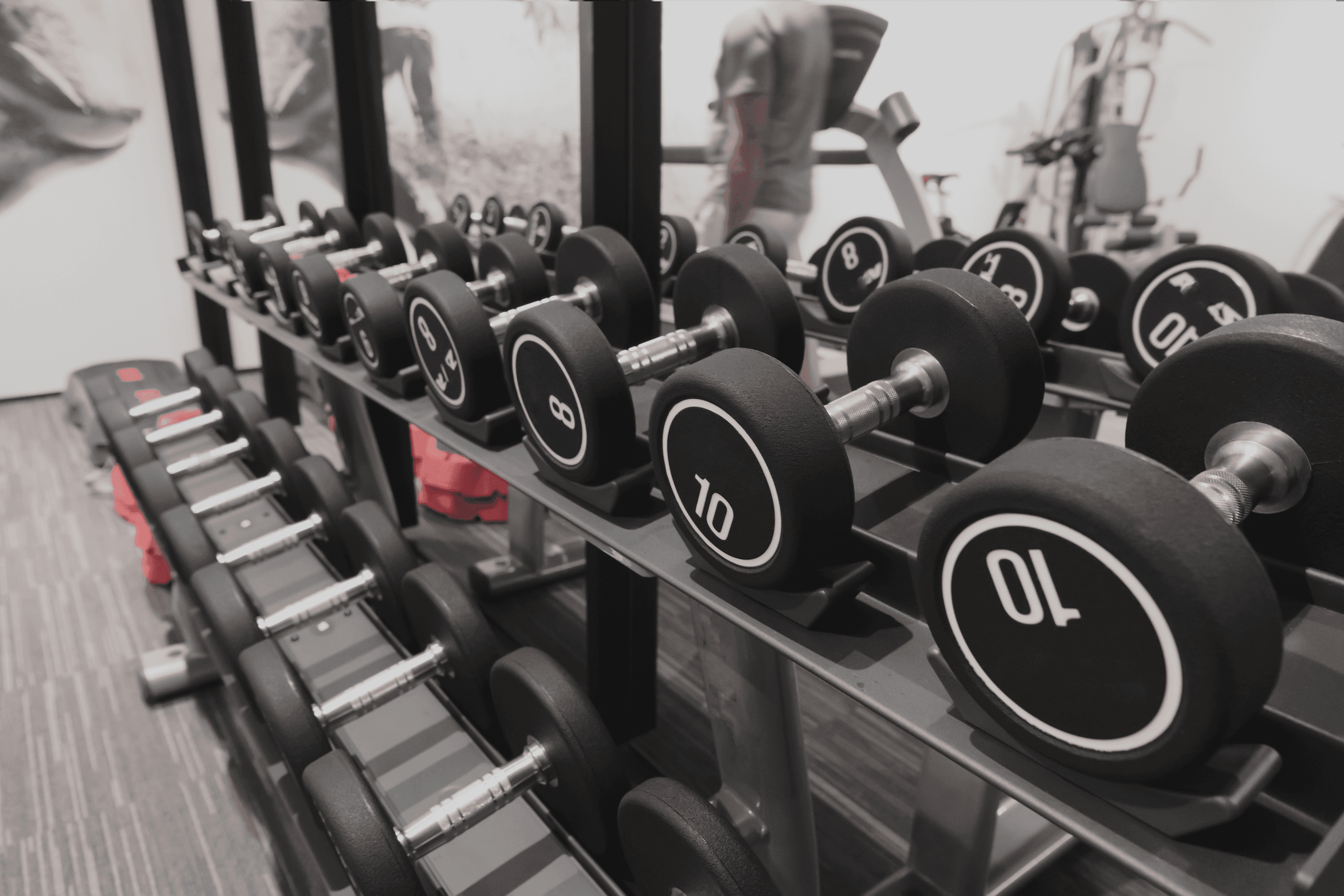 Health & Fitness